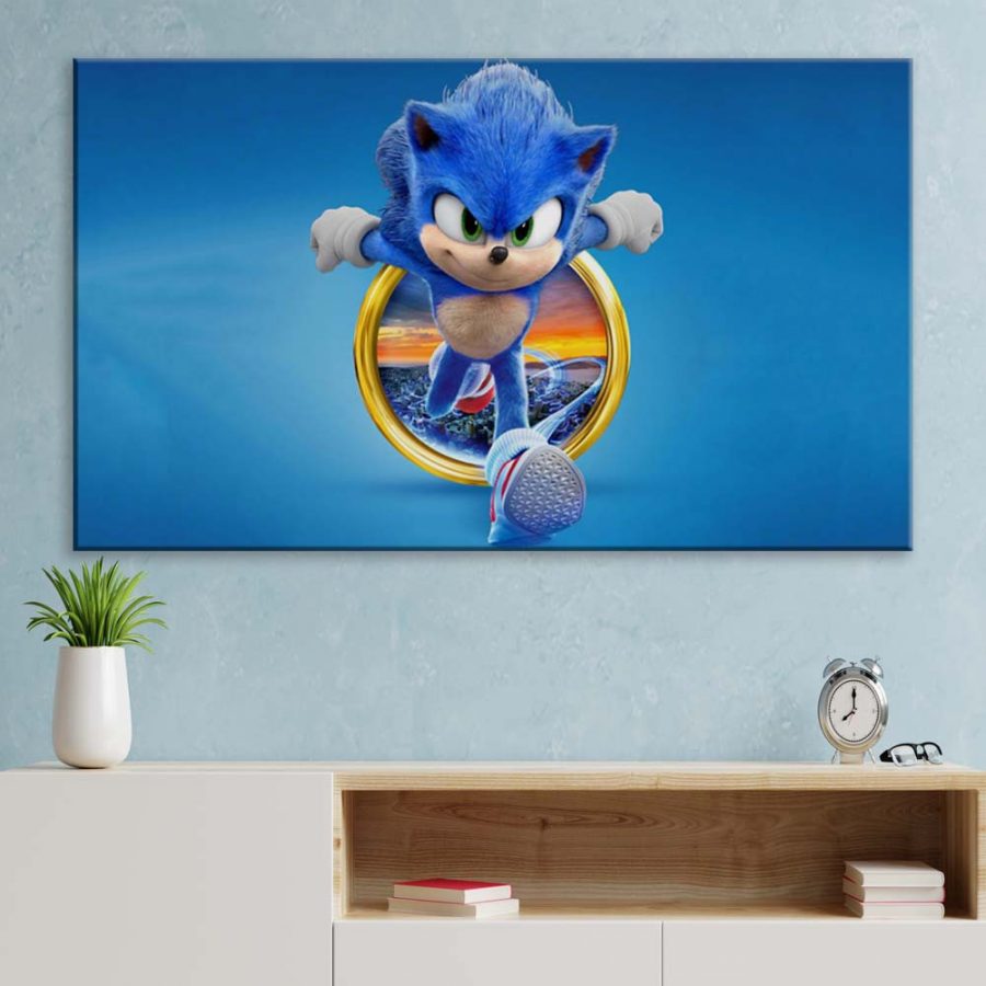 Sonic The Hedgehog 14 Leinwandbilder – Bild 3