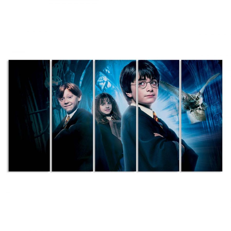 Harry Potter und der Stein der Weisen Leinwandbilder – Bild 2