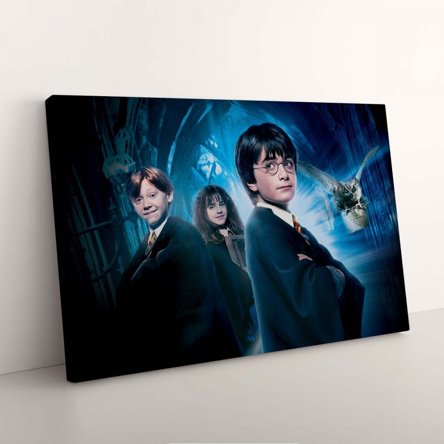 Harry Potter und der Stein der Weisen Leinwandbilder – Bild 3