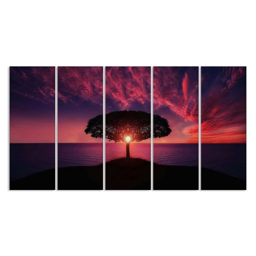 Sonnenuntergang durch Baum rosa lila Farbe Leinwandbilder – Bild 2