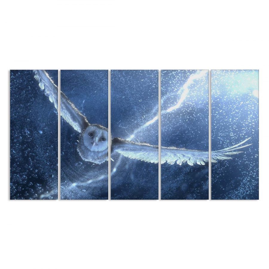 Harry Potter Hedwig Eule 1 Leinwandbilder – Bild 2
