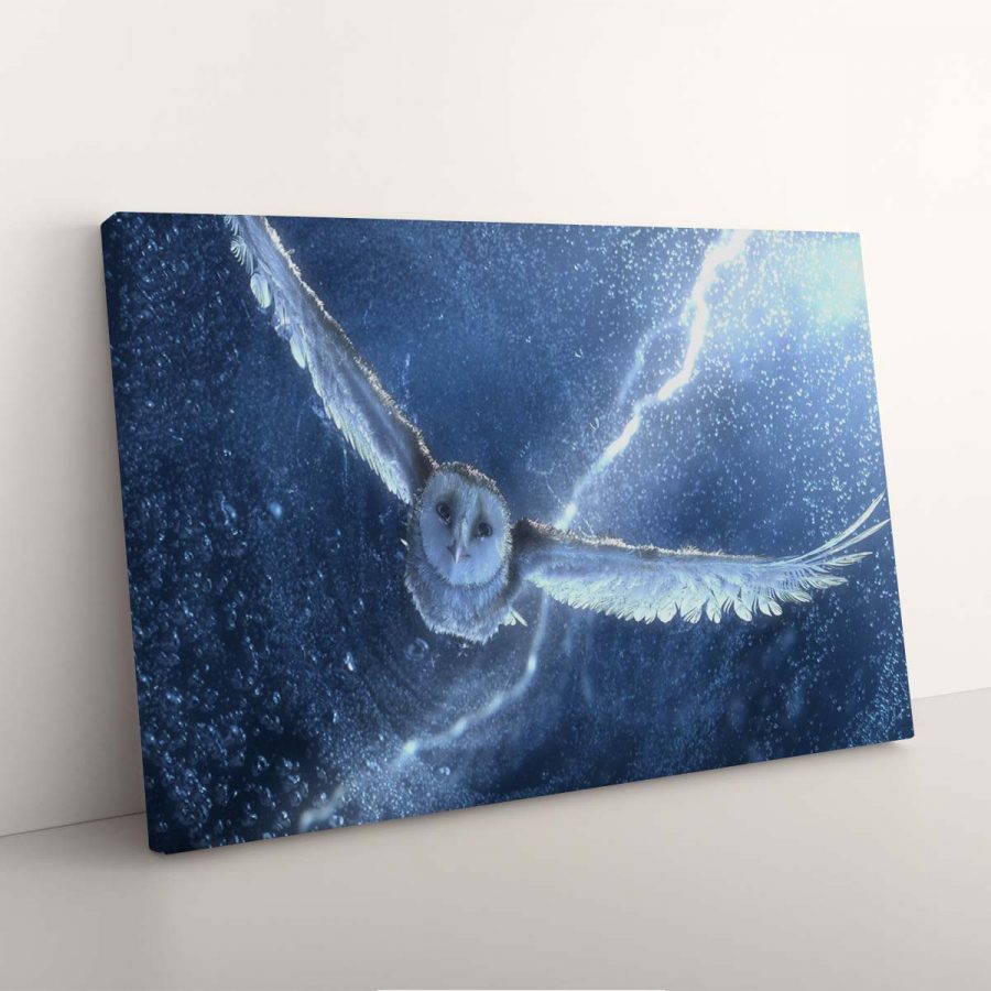 Harry Potter Hedwig Eule 1 Leinwandbilder – Bild 3