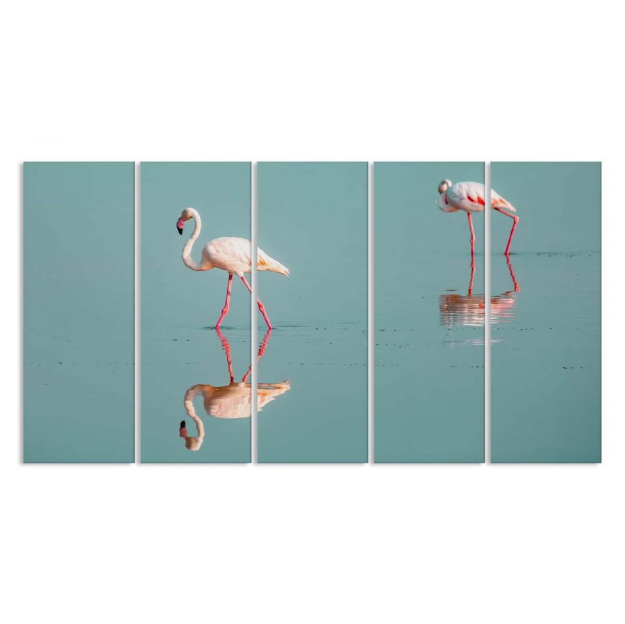 Flamingos laufen im Wasser in Kenia Afrika Leinwandbilder – Bild 2