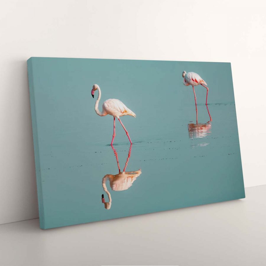 Flamingos laufen im Wasser in Kenia Afrika Leinwandbilder – Bild 3