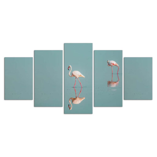 Flamingos laufen im Wasser in Kenia Afrika Leinwandbilder