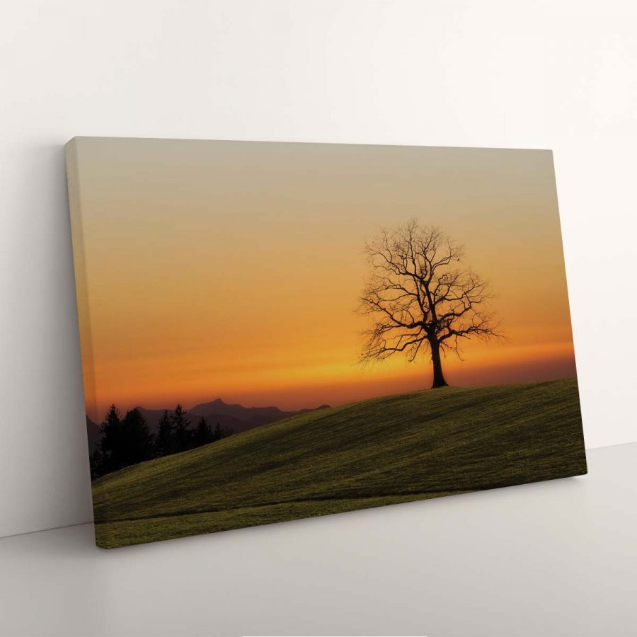 Einsamer Baum auf dem Hügel bei Sonnenuntergang Leinwandbilder – Bild 3