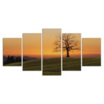 Einsamer Baum auf dem Hügel bei Sonnenuntergang Leinwandbilder
