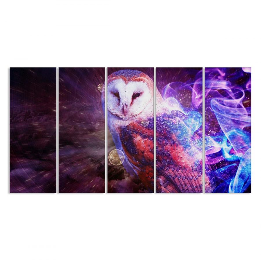 Harry Potter Hedwig Eule 2 Leinwandbilder – Bild 2