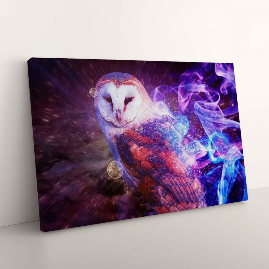 Harry Potter Hedwig Eule 2 Leinwandbilder – Bild 3