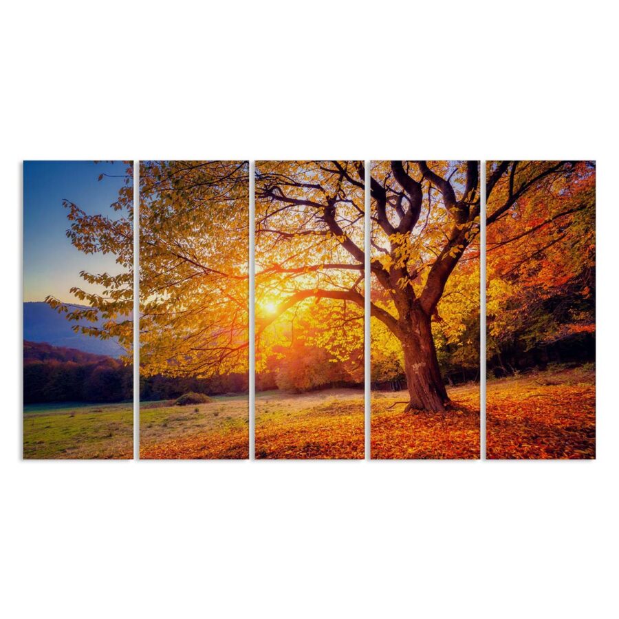 Herbstbaum bei Sonnenuntergang Leinwandbilder – Bild 2