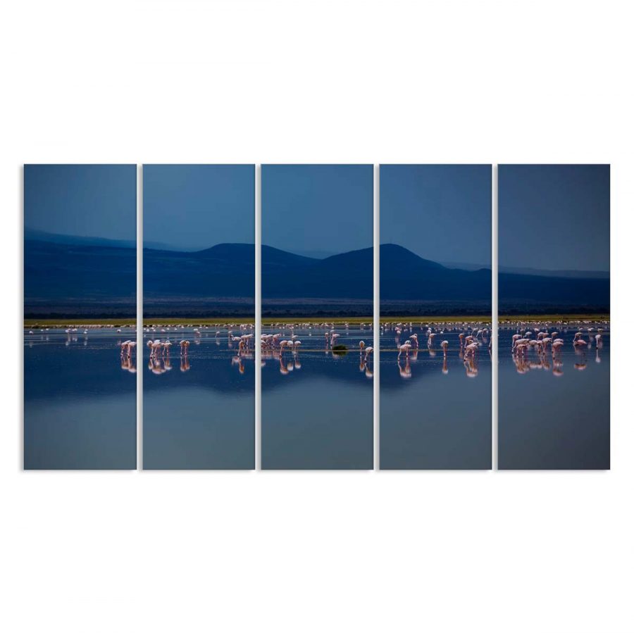 Flamingos suchen spät nachts im afrikanischen Wald nach Futter Leinwandbilder – Bild 2