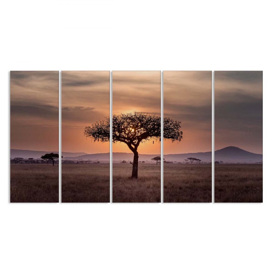 Sonnenuntergang Baum in Serengeti Afica Natur Leinwandbilder – Bild 2