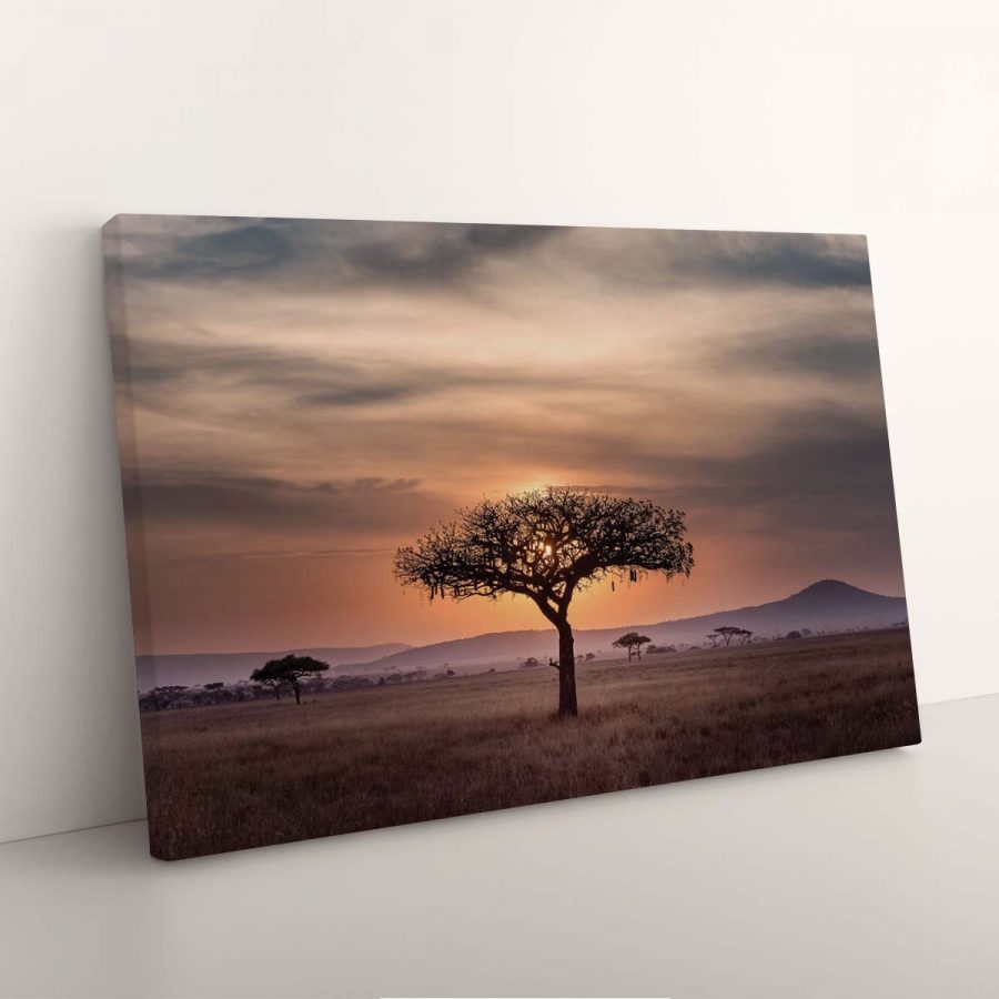 Sonnenuntergang Baum in Serengeti Afica Natur Leinwandbilder – Bild 3