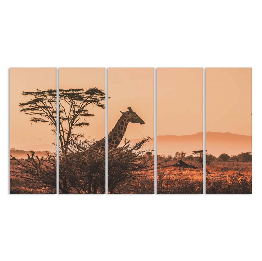 Giraffe in Afrikas Natursafari Leinwandbilder – Bild 2