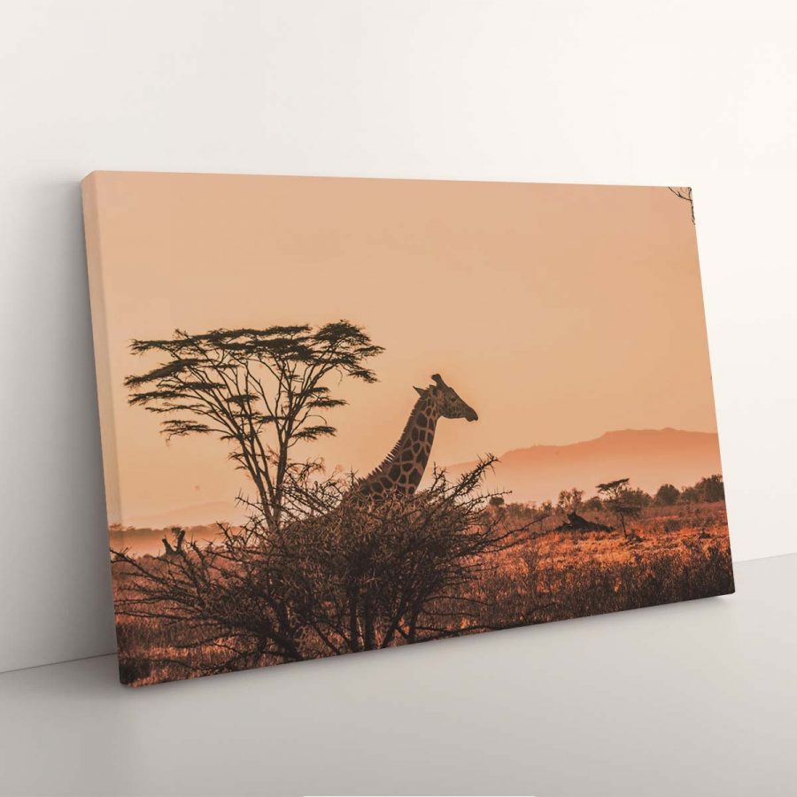 Giraffe in Afrikas Natursafari Leinwandbilder – Bild 3
