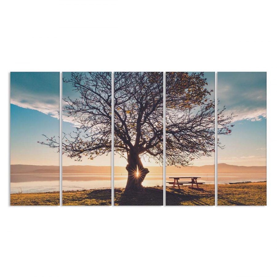 Sonnenlicht bricht durch einen Baum am Rande des Sees Leinwandbilder – Bild 2