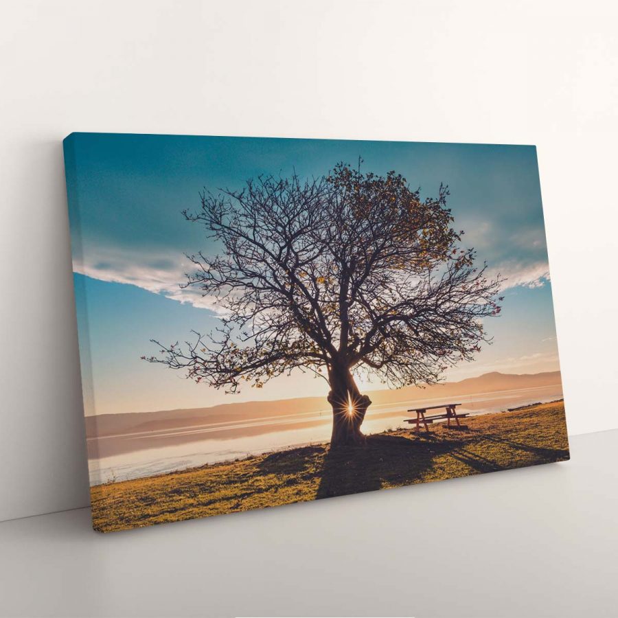 Sonnenlicht bricht durch einen Baum am Rande des Sees Leinwandbilder – Bild 3