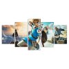 The Legend of Zelda Link Leinwandbilder (Copy)