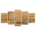 Zebras in der weiten Natur Afrikas Leinwandbilder