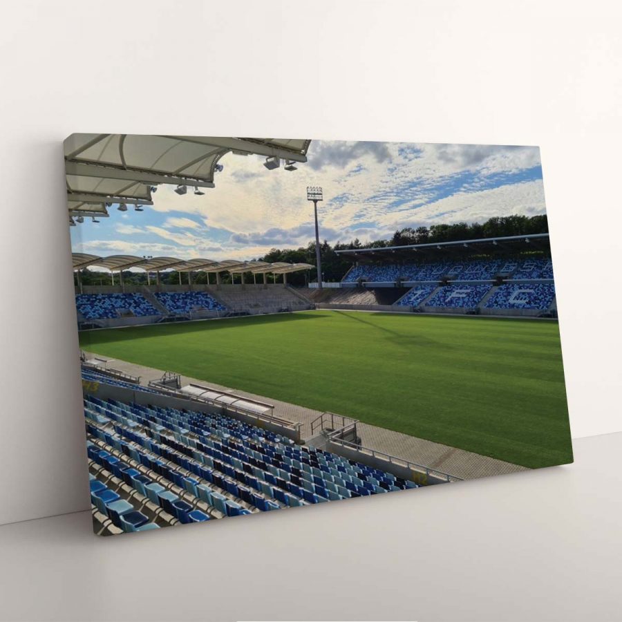 1. FC Saarbrücken Spielfeld Ludwigspark Stadion 2 Leinwandbilder – Bild 3