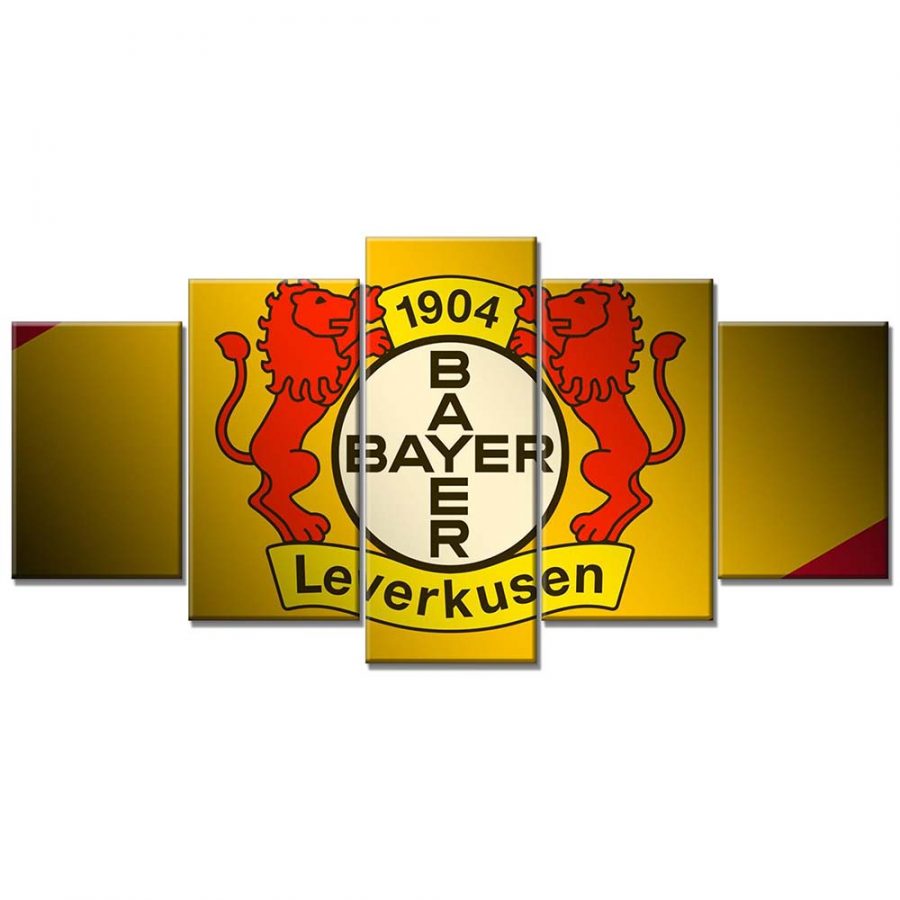 Bayer 04 Leverkusen B0407 B04 Leinwandbilder