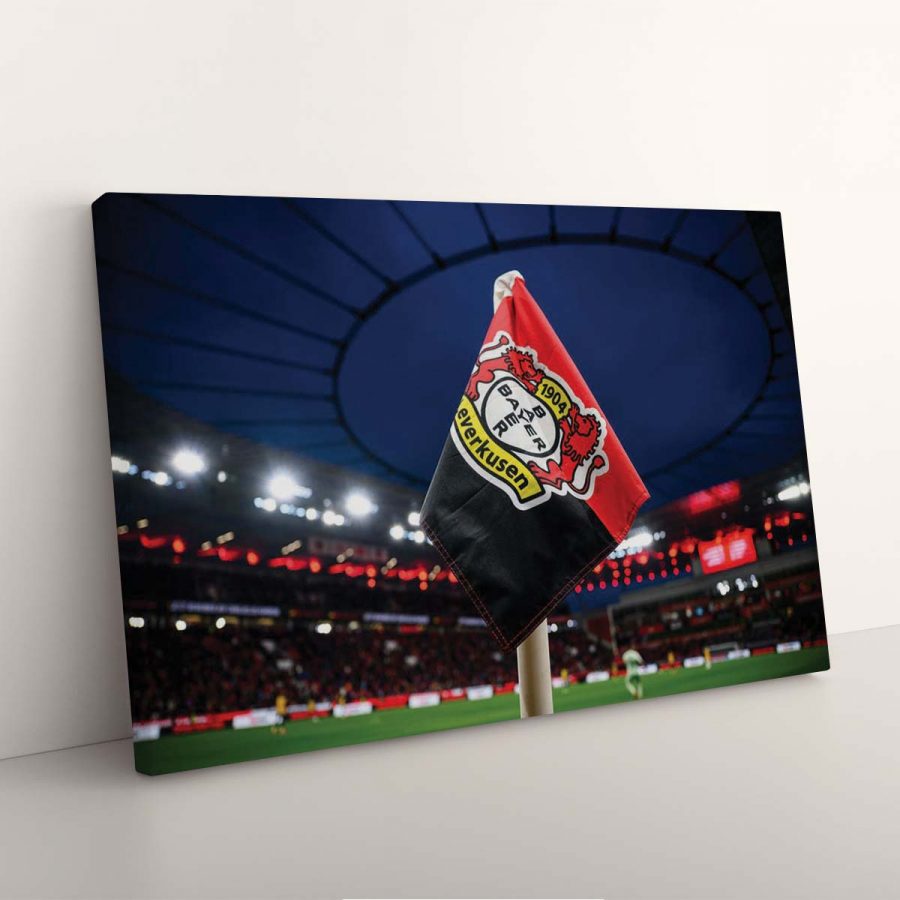 Bayer 04 Leverkusen B0419 B04 Leinwandbilder – Bild 3