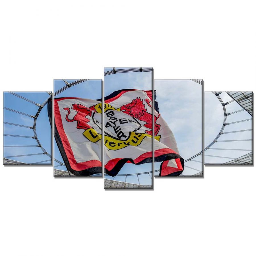 Bayer 04 Leverkusen B0421 B04 Leinwandbilder