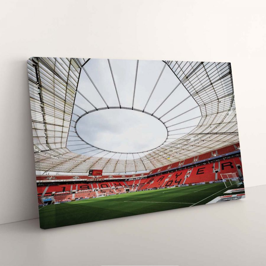 Bayer 04 Leverkusen BayArena Spielfeld 10 B04 Leinwandbilder – Bild 3