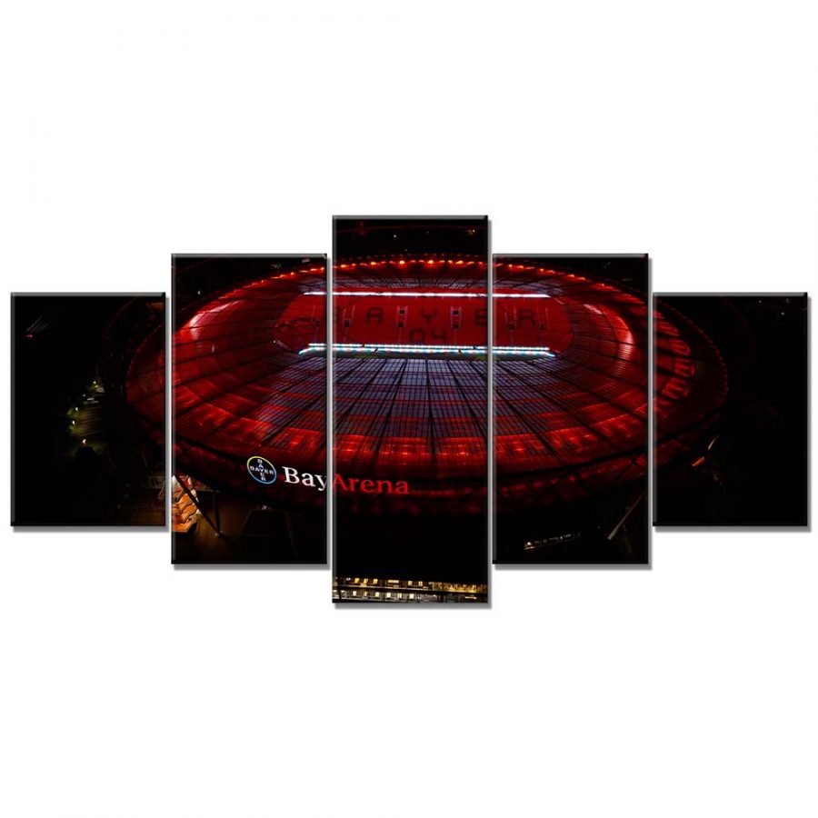 Bayer 04 Leverkusen BayArena Spielfeld 11 B04 Leinwandbilder