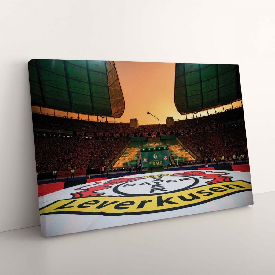 Bayer 04 Leverkusen BayArena Spielfeld 13 B04 Leinwandbilder – Bild 3