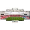 Bayer 04 Leverkusen BayArena Spielfeld 7 B04 Leinwandbilder