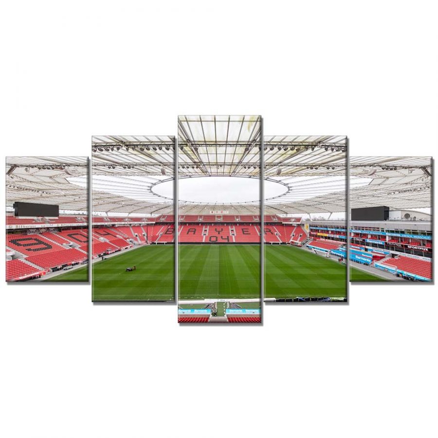 Bayer-04-Leverkusen-BayArena-Field-7.jpg