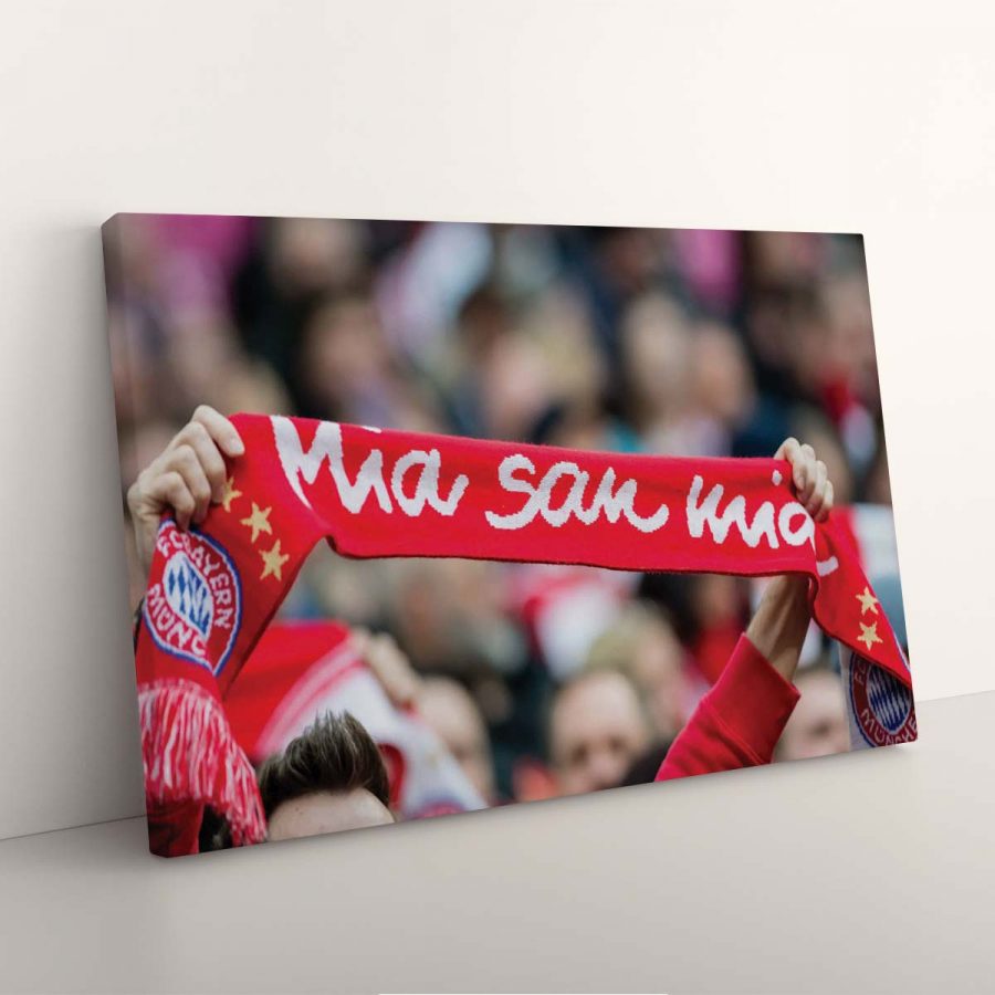 FC Bayern München Allianz Arena Spielfeld Mia san mia 2 FCB Leinwandbilder – Bild 3