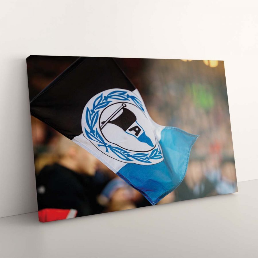 DSC Arminia Bielefeld DSC05 DSC Leinwandbilder – Bild 3