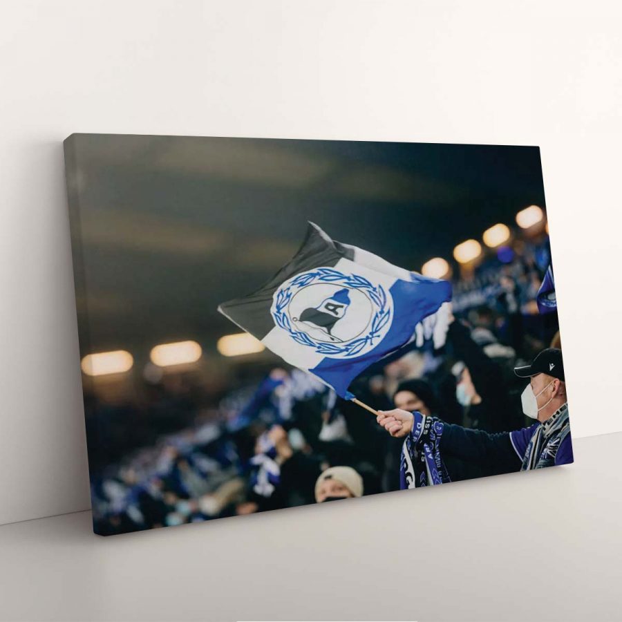 DSC Arminia Bielefeld DSC06 DSC Leinwandbilder – Bild 3