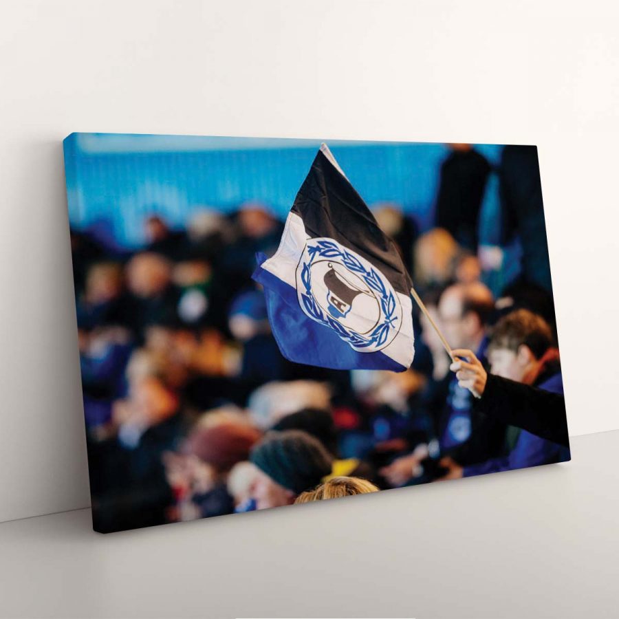 DSC Arminia Bielefeld DSC07 DSC Leinwandbilder – Bild 3