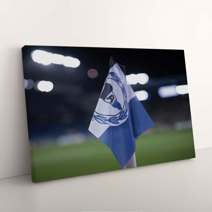 DSC Arminia Bielefeld Fans 2 DSC Leinwandbilder – Bild 3