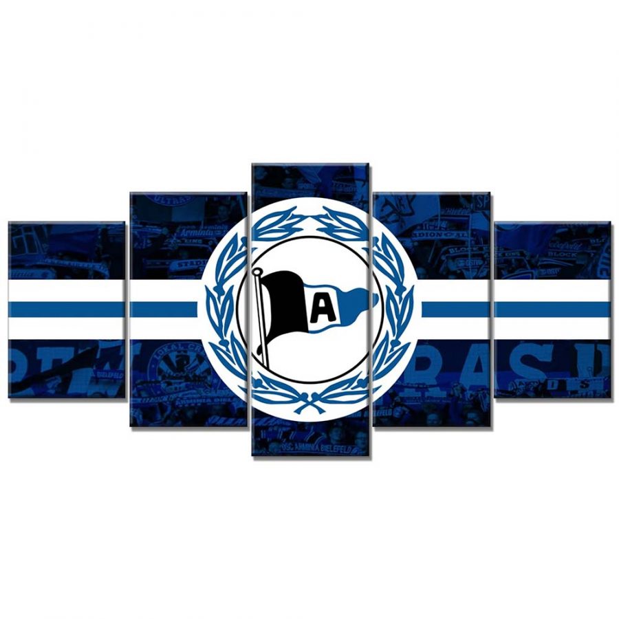DSC-Arminia-Bielefeld-Fc-blue.jpg