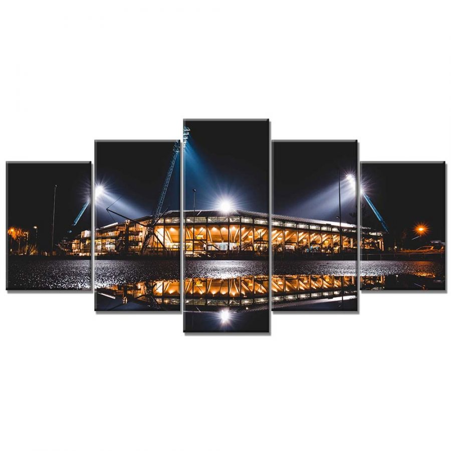 F.C. Hansa Rostock Stadion HRO Leinwandbilder