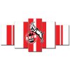 1. FC Köln KOE15 KOE Leinwandbilder