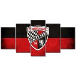 FC Ingolstadt Schanzer 04 FCI Leinwandbilder