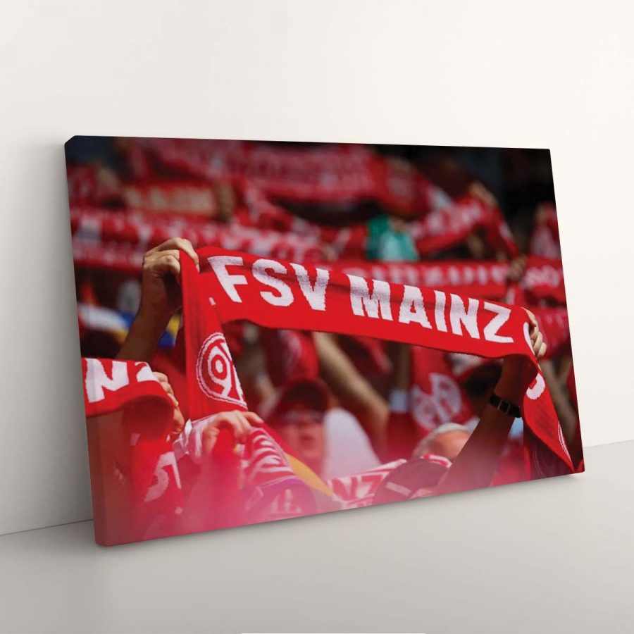 FSV Mainz 05 Fans M05 Leinwandbilder – Bild 3