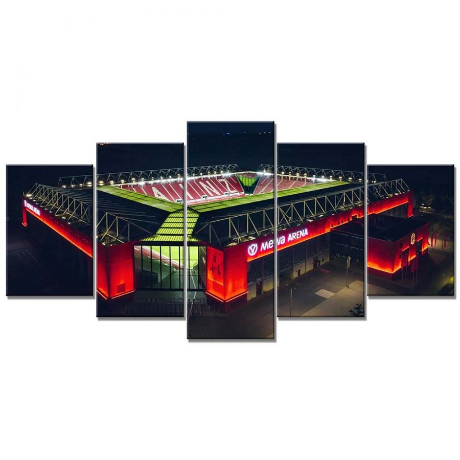 FSV Mainz 05 MEWA ARENA Leinwandbilder