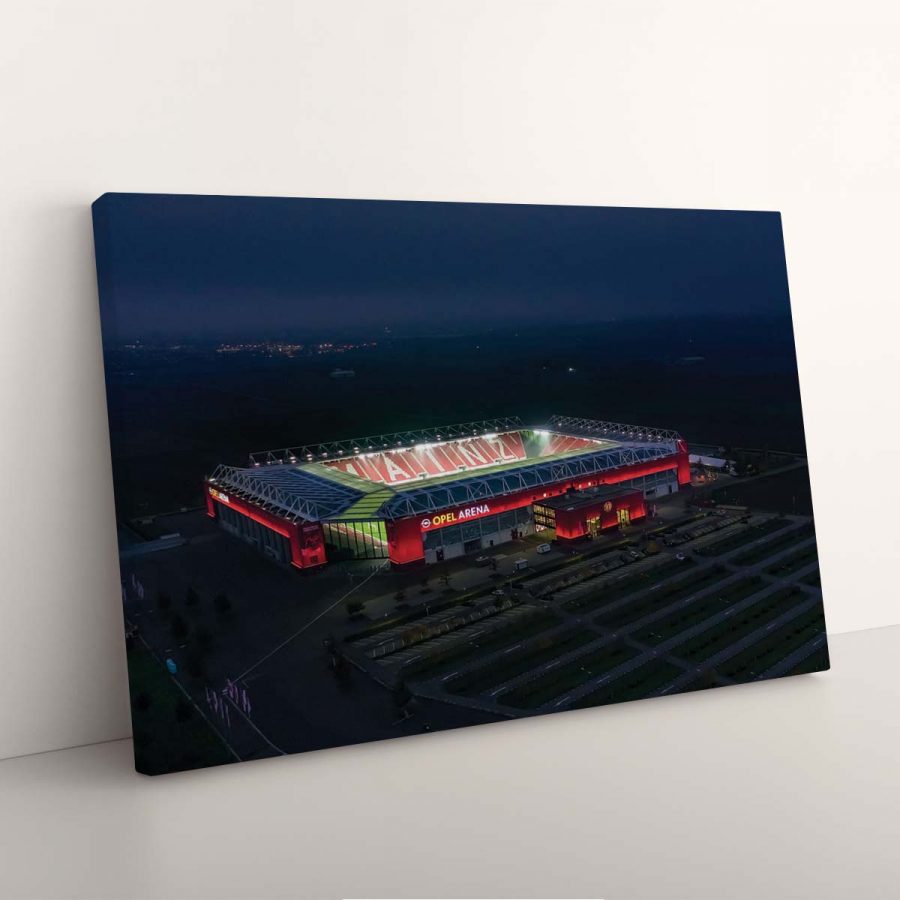 Opel Arena Mainz 05 Leinwandbilder – Bild 3