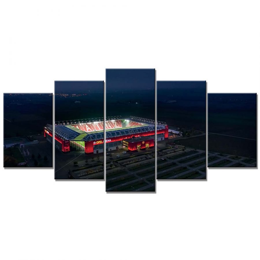 Opel Arena Mainz 05 Leinwandbilder