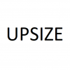 Upsize Fee