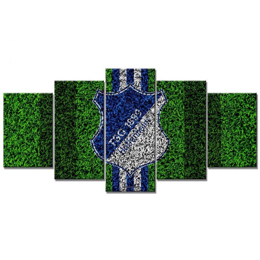 TSG 1899 Hoffenheim TSG03 TSG Leinwandbilder