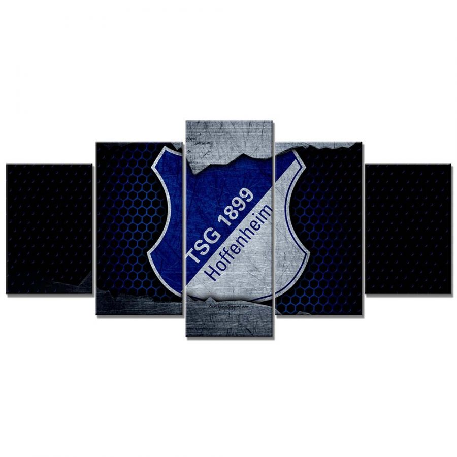 TSG-1899-Hoffenheim-TSG08.jpg
