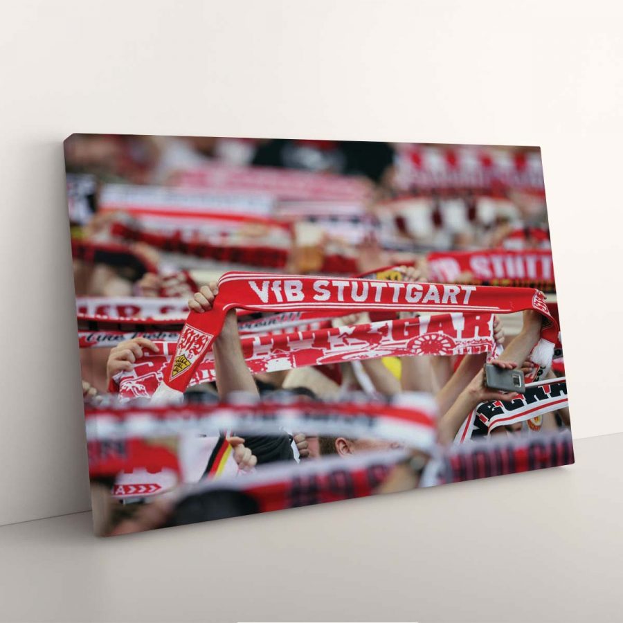 VfB Stuttgart Fans VFB Leinwandbilder – Bild 3